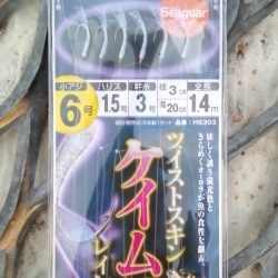 アジは好調継続中！